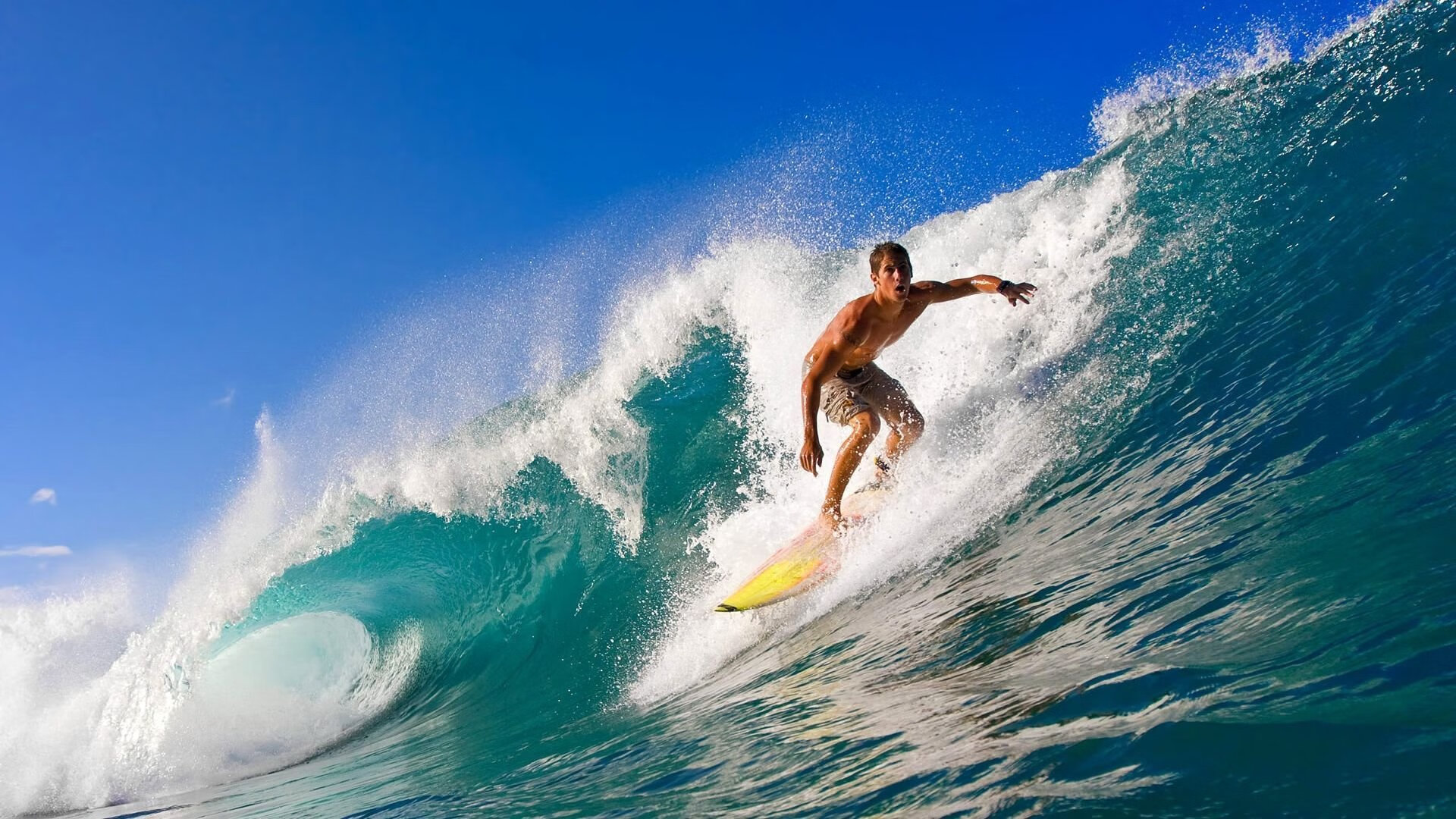 突尼斯绝杀加拿大，福登关键回合不手软，书写世界杯传奇之夜