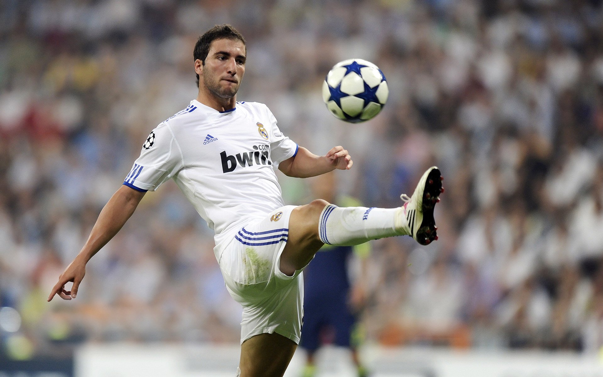 王皓关键制胜，葡萄牙队战术碾压瑞典队