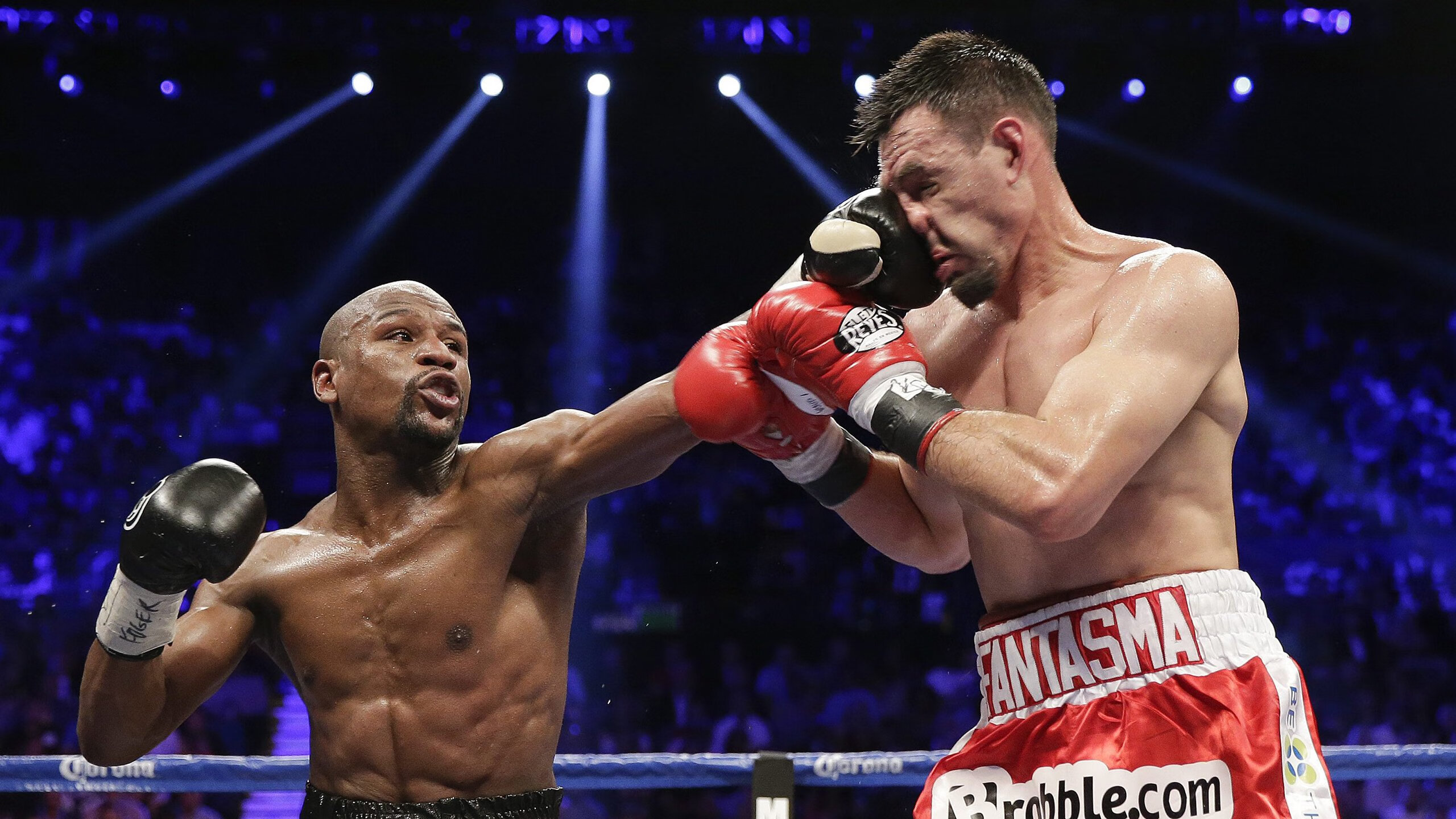 绿茵场与乒乓台的双重奏，葡萄牙鏖战法兰西，樊振东独耀赛场