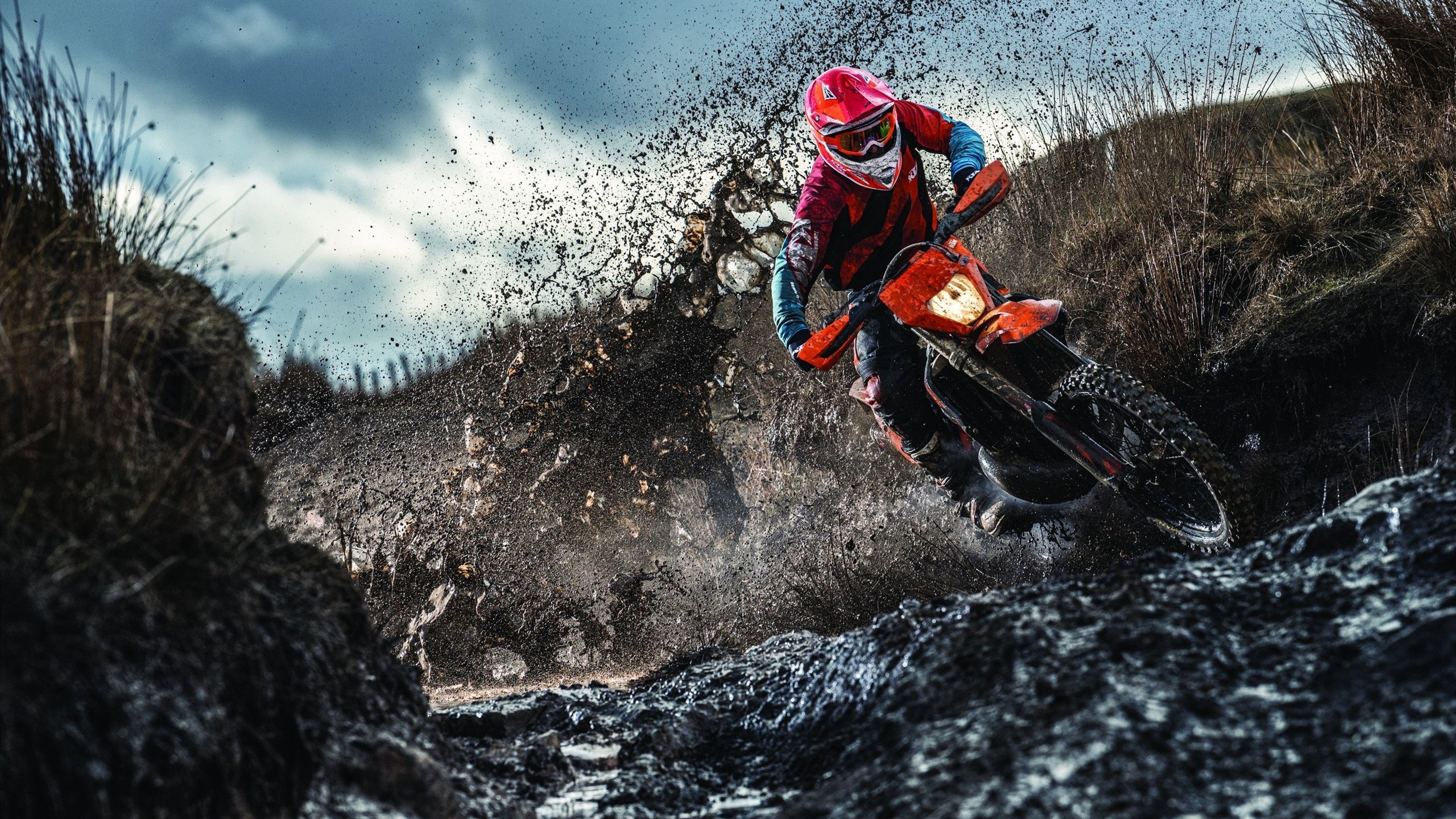 浙江队碾压热火，麦科勒姆状态火热